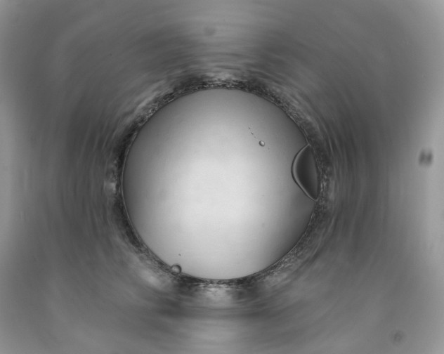 X0000091460710200709061756