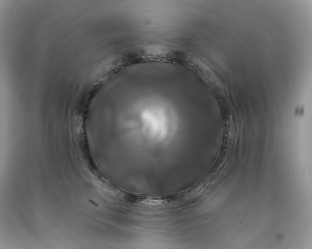 X0000091460711200709061756