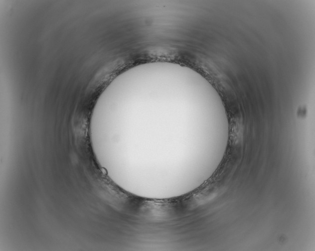 X0000091460713200709061756