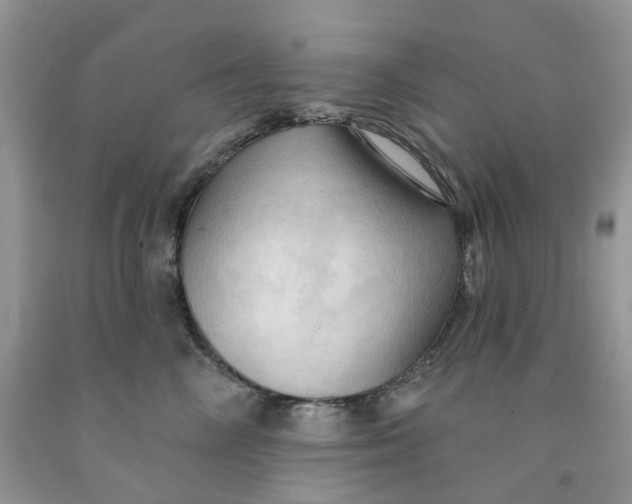 X0000091460714200709061756