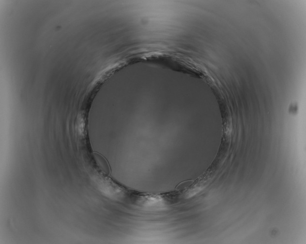 X0000091460715200709061756