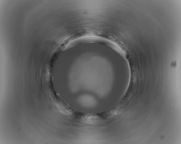 X0000091460716200709061756