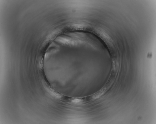 X0000091460718200709061756