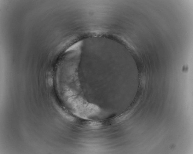 X0000091460719200709061756