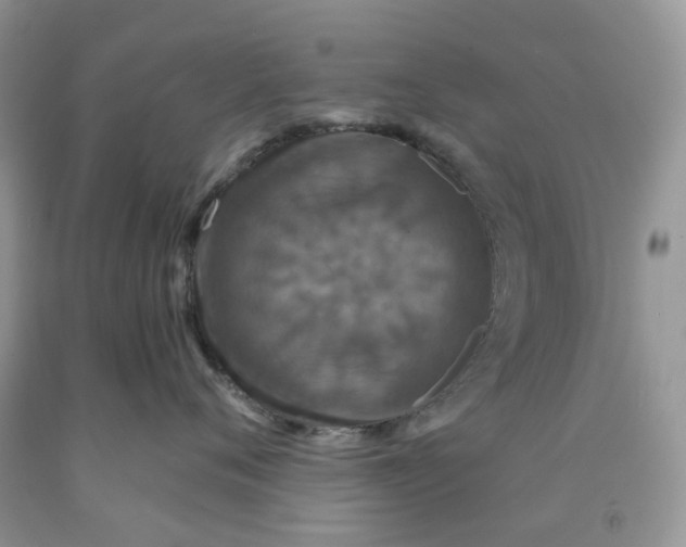 X0000091460720200709061756