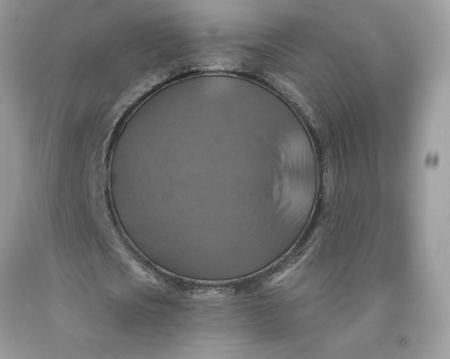 X0000091460721200709061756