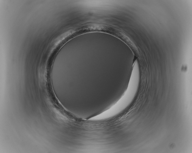 X0000091460722200709061756