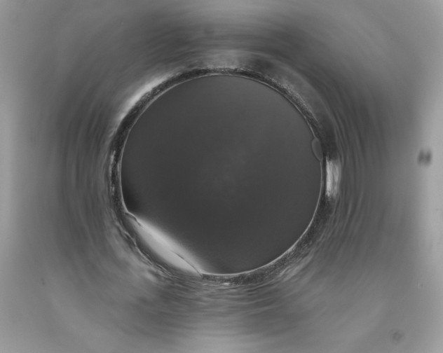 X0000091460723200709061756