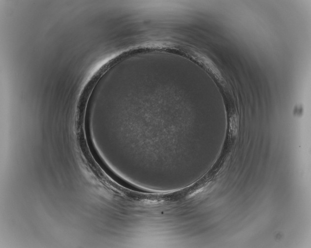 X0000091460724200709061756