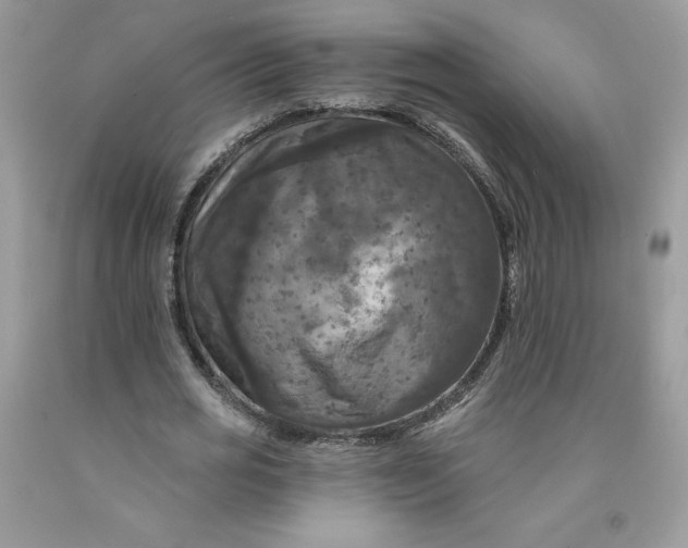 X0000091460725200709061756