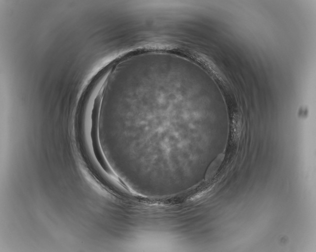 X0000091460726200709061756