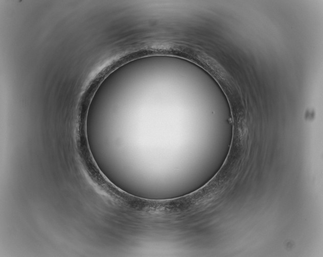 X0000091460728200709061756