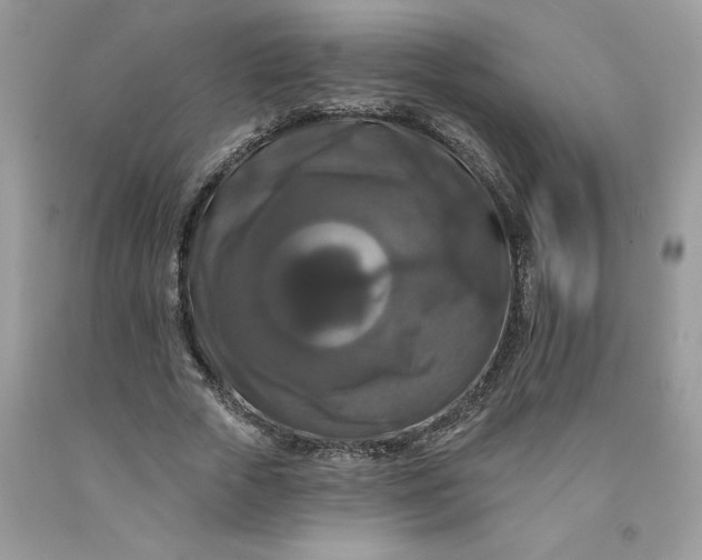 X0000091460729200709061756