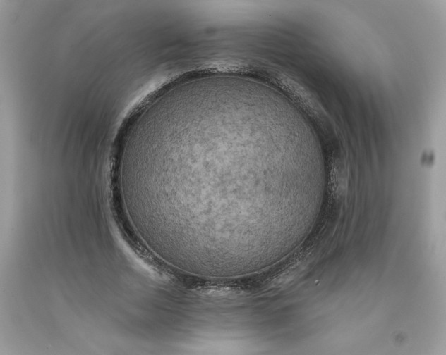 X0000091460730200709061756