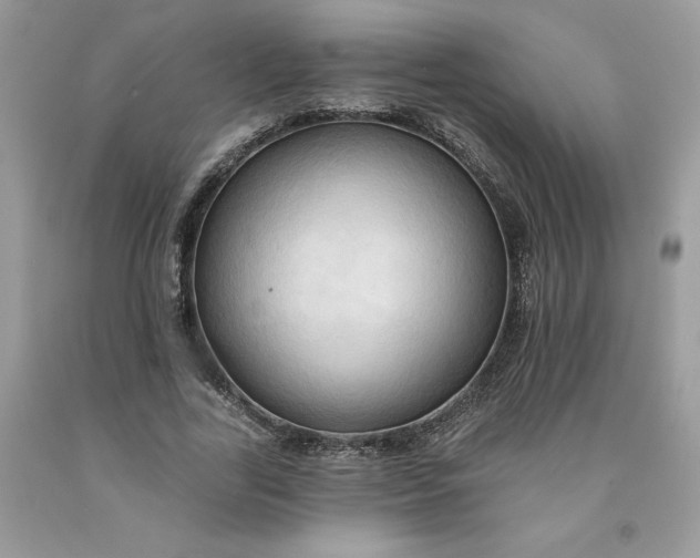 X0000091460731200709061756