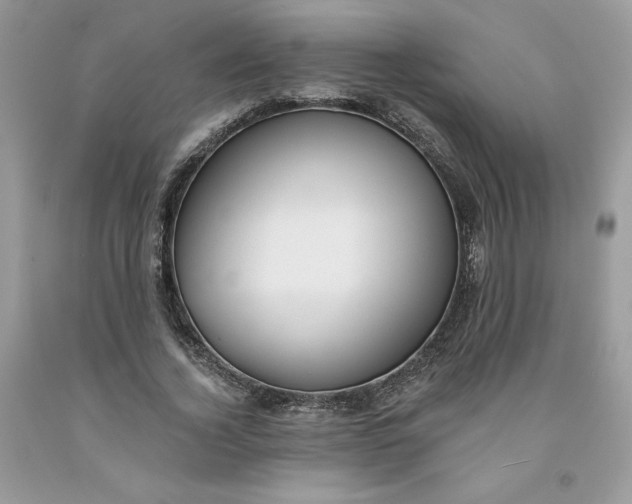 X0000091460732200709061756