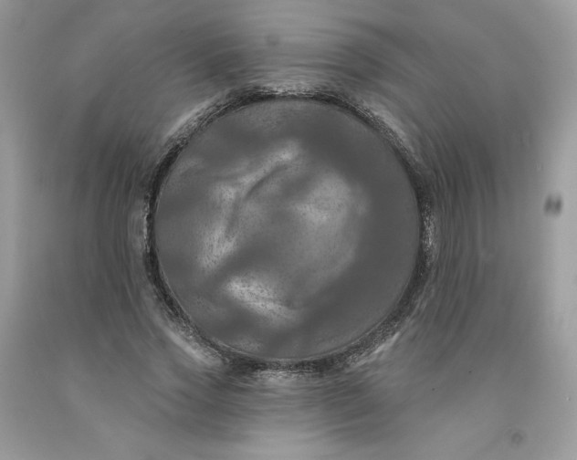 X0000091460733200709061756