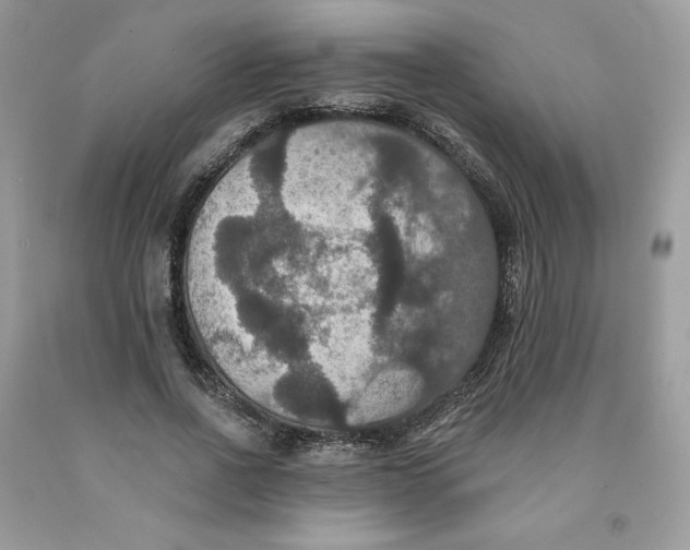 X0000091460734200709061756