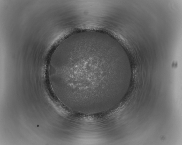 X0000091460735200709061756