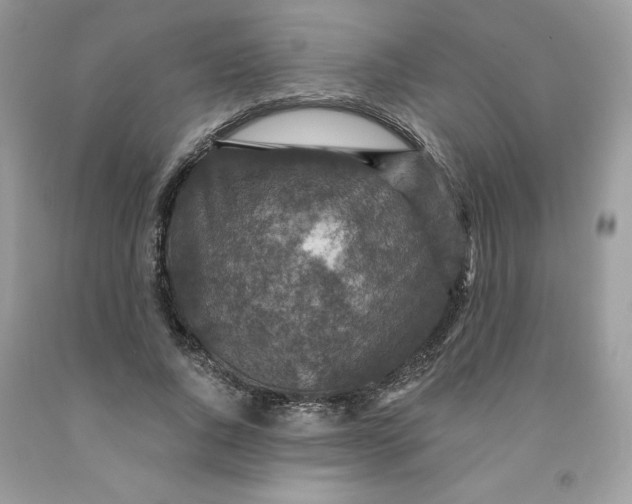 X0000091460736200709061756