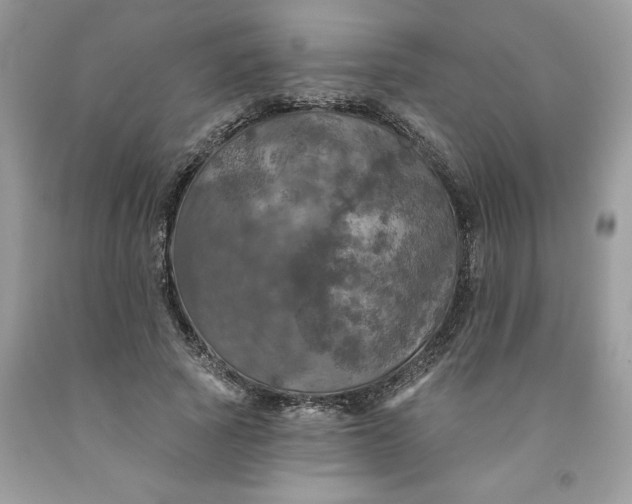 X0000091460737200709061756