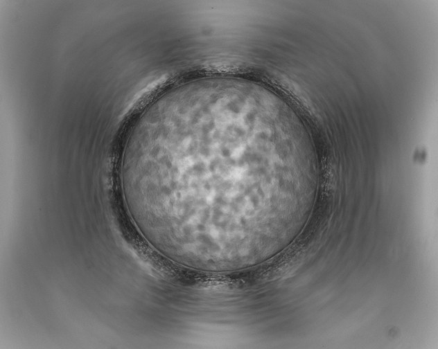 X0000091460738200709061756