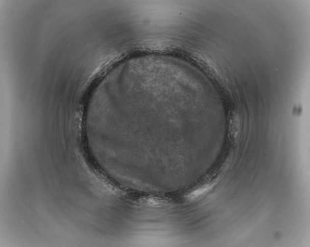 X0000091460739200709061756