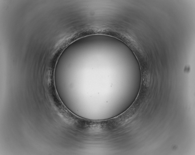 X0000091460740200709061756