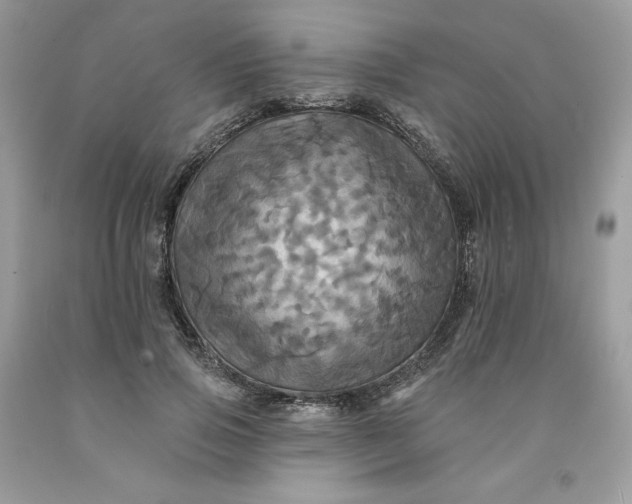 X0000091460741200709061756