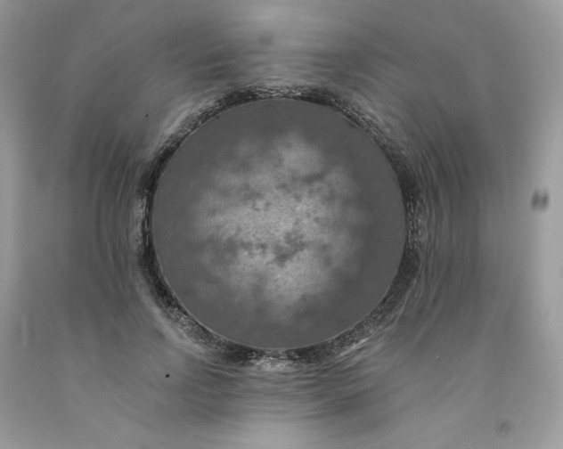 X0000091460742200709061756