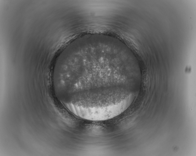 X0000091460743200709061756