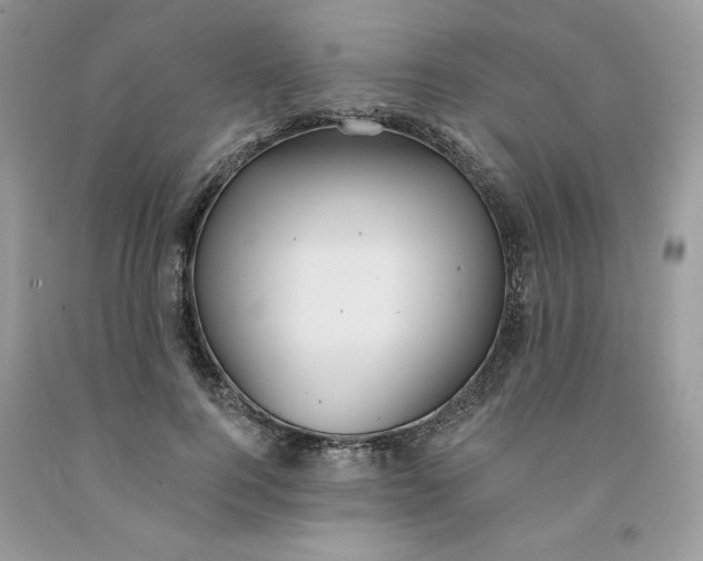 X0000091460744200709061756