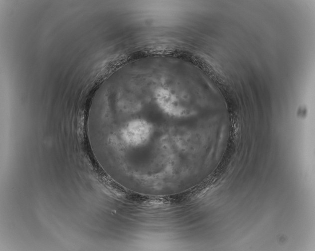 X0000091460745200709061756