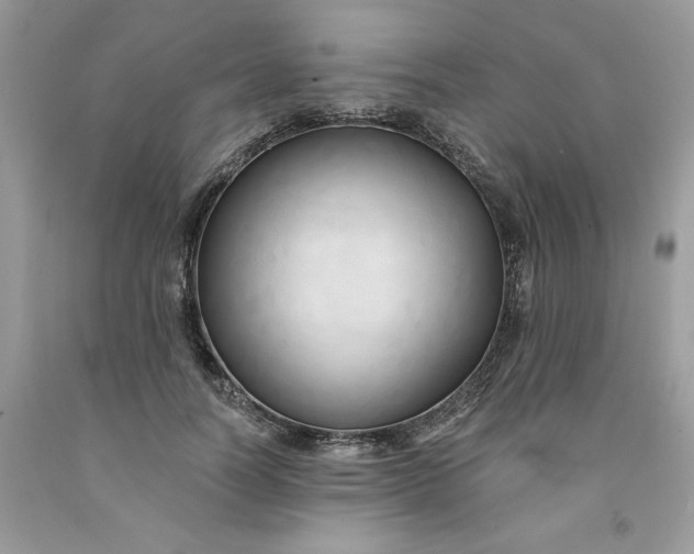 X0000091460746200709061756