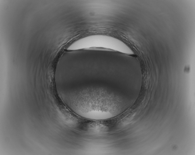 X0000091460747200709061756