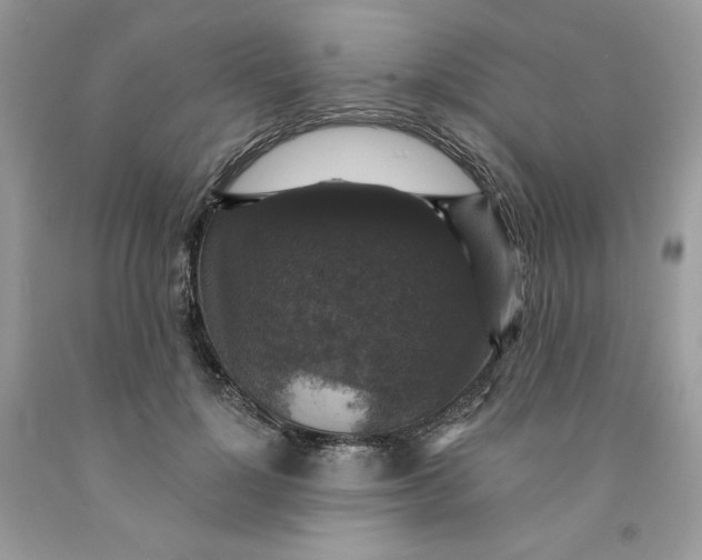 X0000091460748200709061756