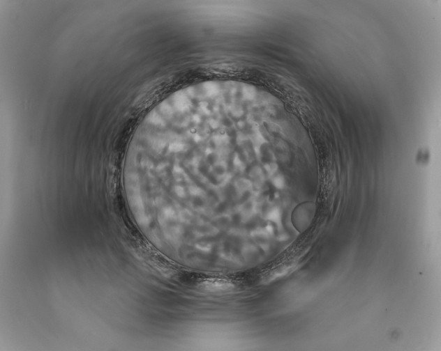 X0000091460749200709061756