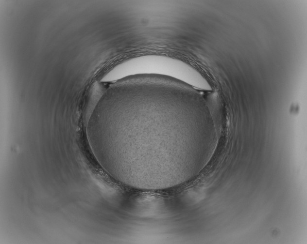 X0000091460750200709061756