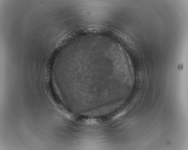 X0000091460751200709061756