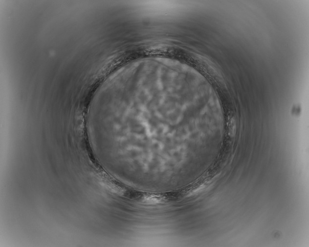 X0000091460753200709061756