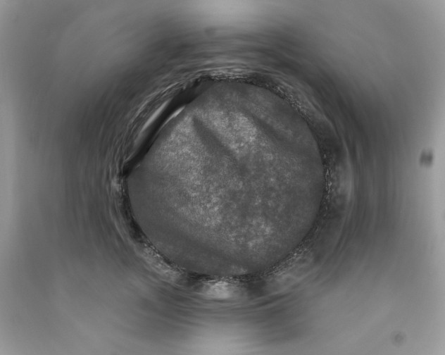 X0000091460755200709061756