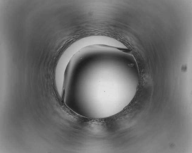 X0000091460756200709061756