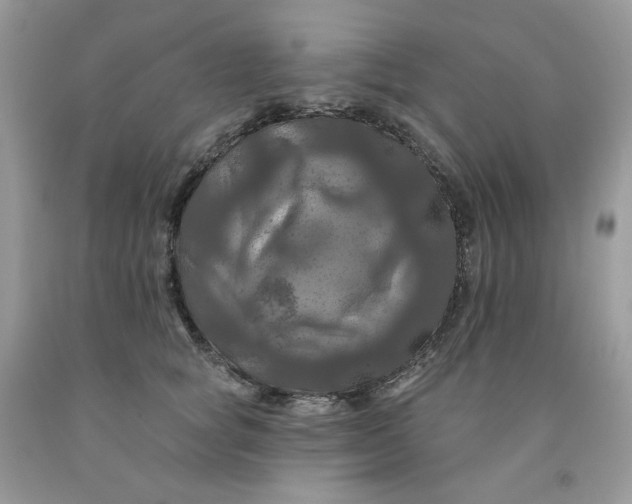 X0000091460757200709061756