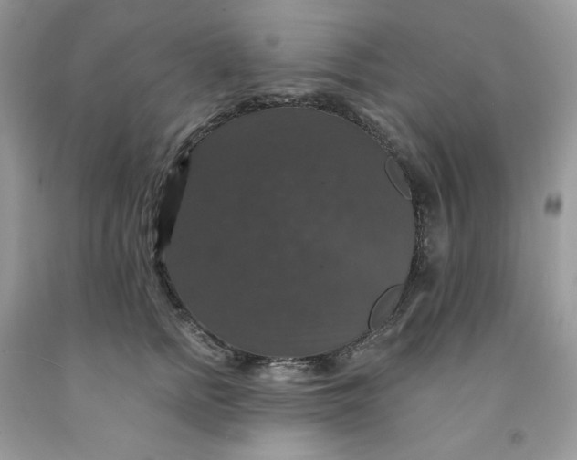 X0000091460758200709061756