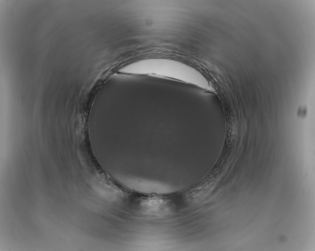 X0000091460759200709061756