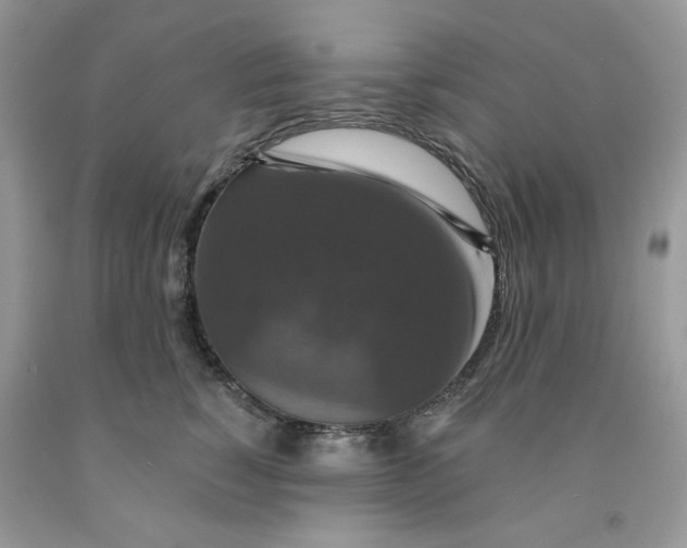 X0000091460760200709061756