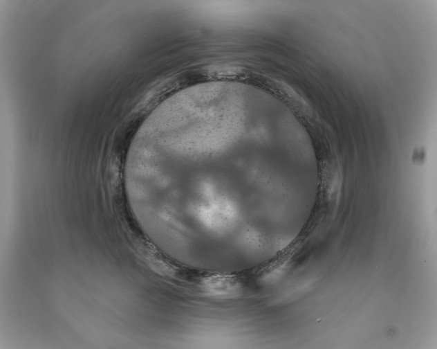 X0000091460761200709061756