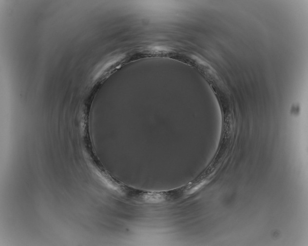 X0000091460762200709061756