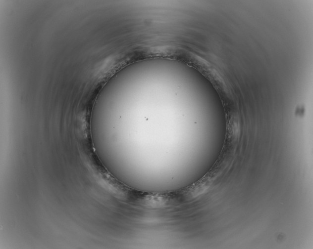 X0000091460764200709061756