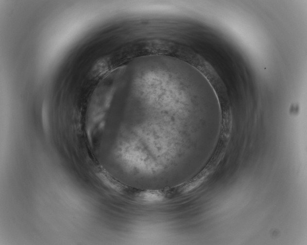 X0000091460765200709061756